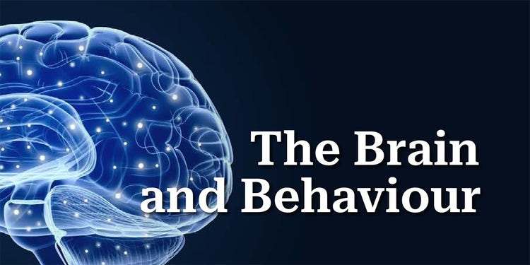 cover image featuring a electic blue brain