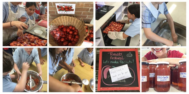 tomato festival
